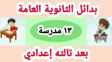 بدائل الثانوية العامة 1