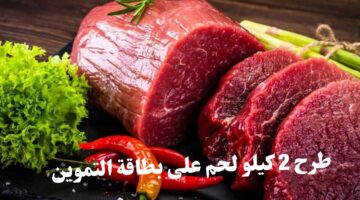 بطاقة التموين