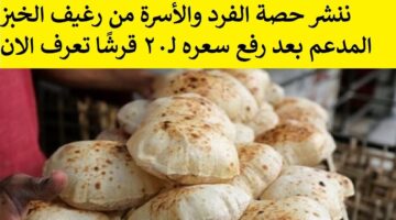 حصة الفرد من رغيف الخبز المدعم