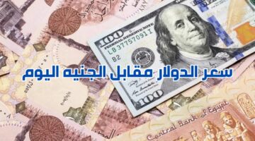 سعر الدولار اليوم