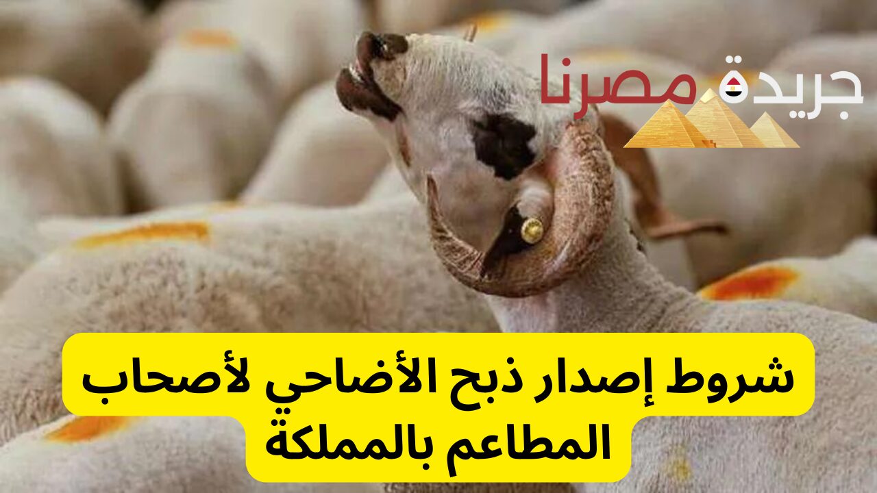 العيد قرب .. شروط إصدار ذبح الأضاحي لأصحاب المطاعم بالمملكة