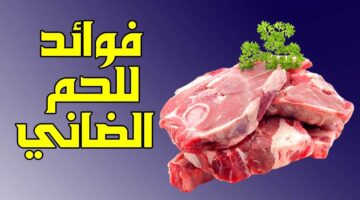 فوائد لحوم الضأن