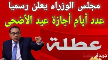 مجلس الوزراء المصري يعلن عن عدد أيام إجازة عيد الأضحى المبارك