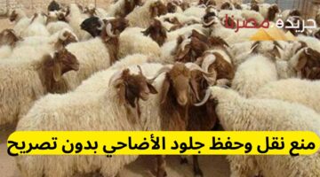 منع نقل وحفظ جلود الأضاحي بدون تصريح