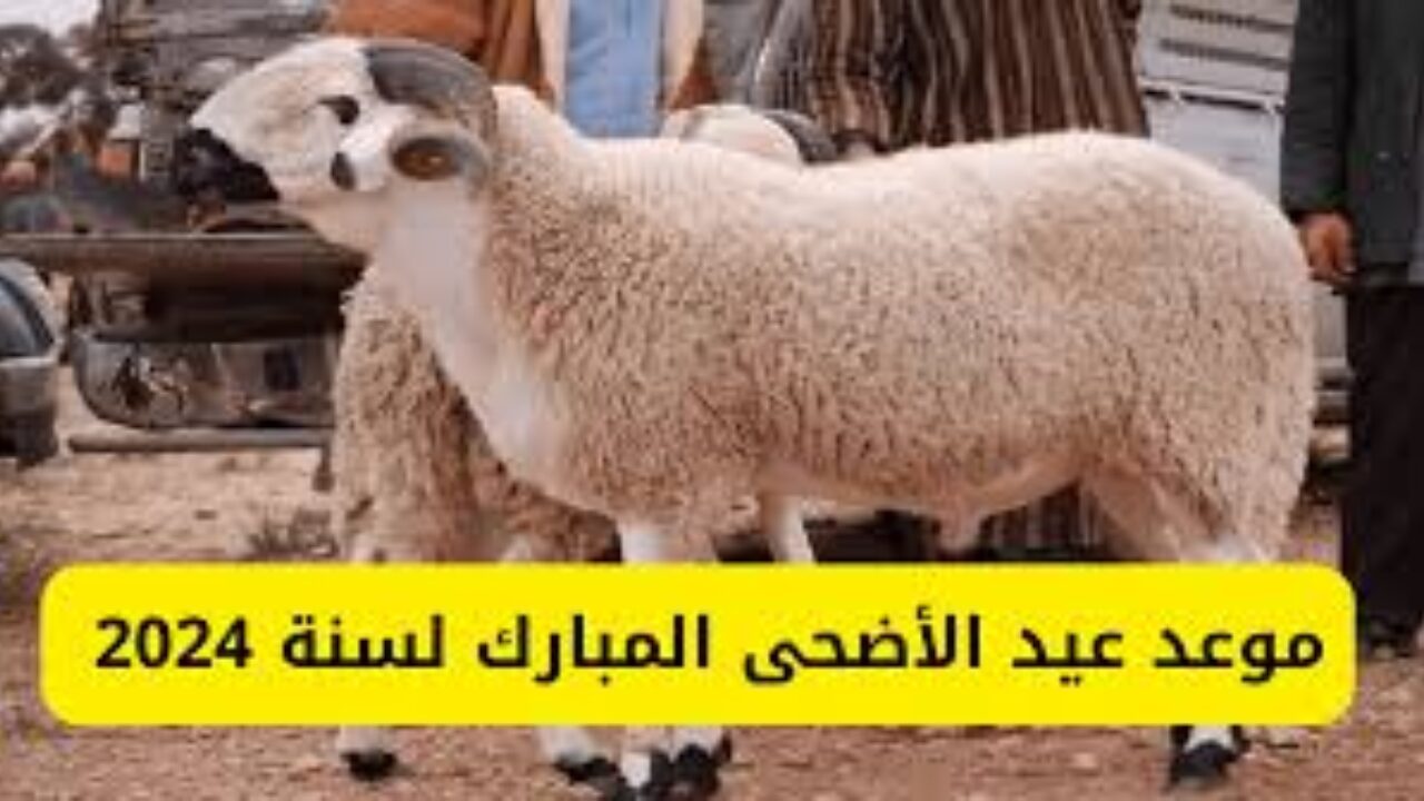 “العيد الكبير”.. الإعلان عن موعد عيد الأضحى 2024 في مصر والسعودية