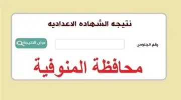 نتيجة الشهادة الإعدادية محافظة المنوفية 2024