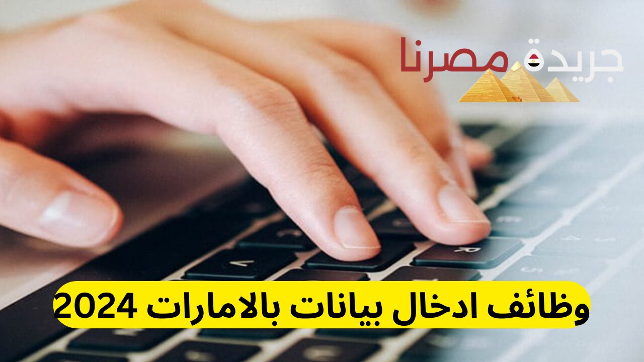 رواتب مجزية جدا.. وظائف إدخال بيانات Data Entry بالامارات 2024