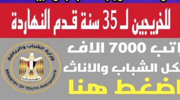 وظائف وزارة الشباب والرياضة للشباب 2024