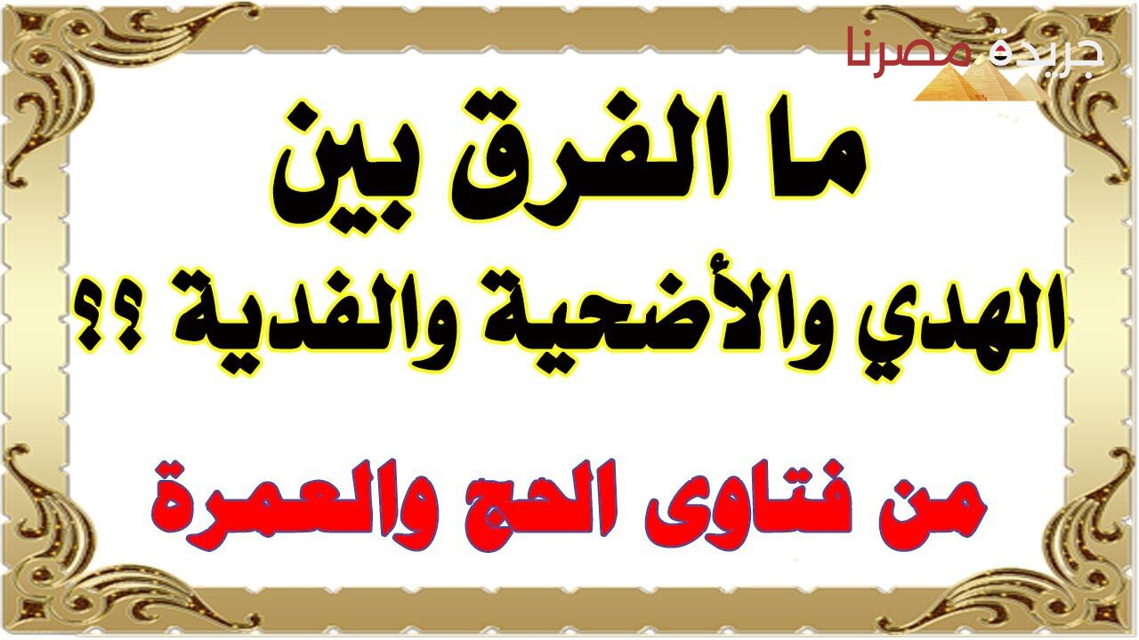 مجمع البحوث الإسلامية يوضح الفرق بين الهدى والفدية والأضحية قبل عيد الأضحى المبارك 