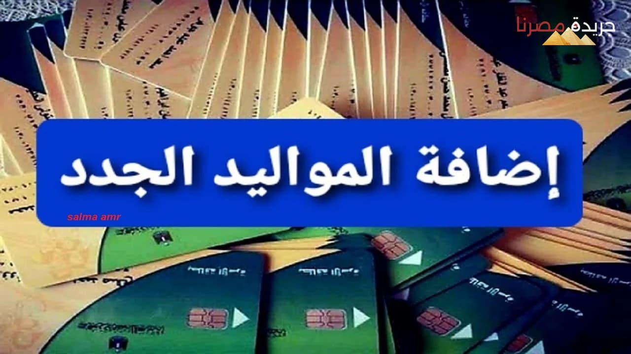 إضافة المواليد الجدد على بطاقات التموين توصية هامة من البرلمان المصري