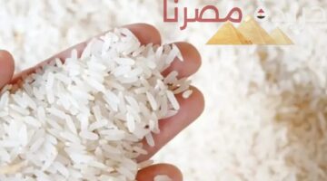 تقرير شامل عن أسعار الأرز الشعير المختلفة في الأسواق المصرية