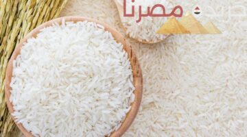 استقرار أسعار الأرز في السوق المحلية وارتفاع واردات مصر
