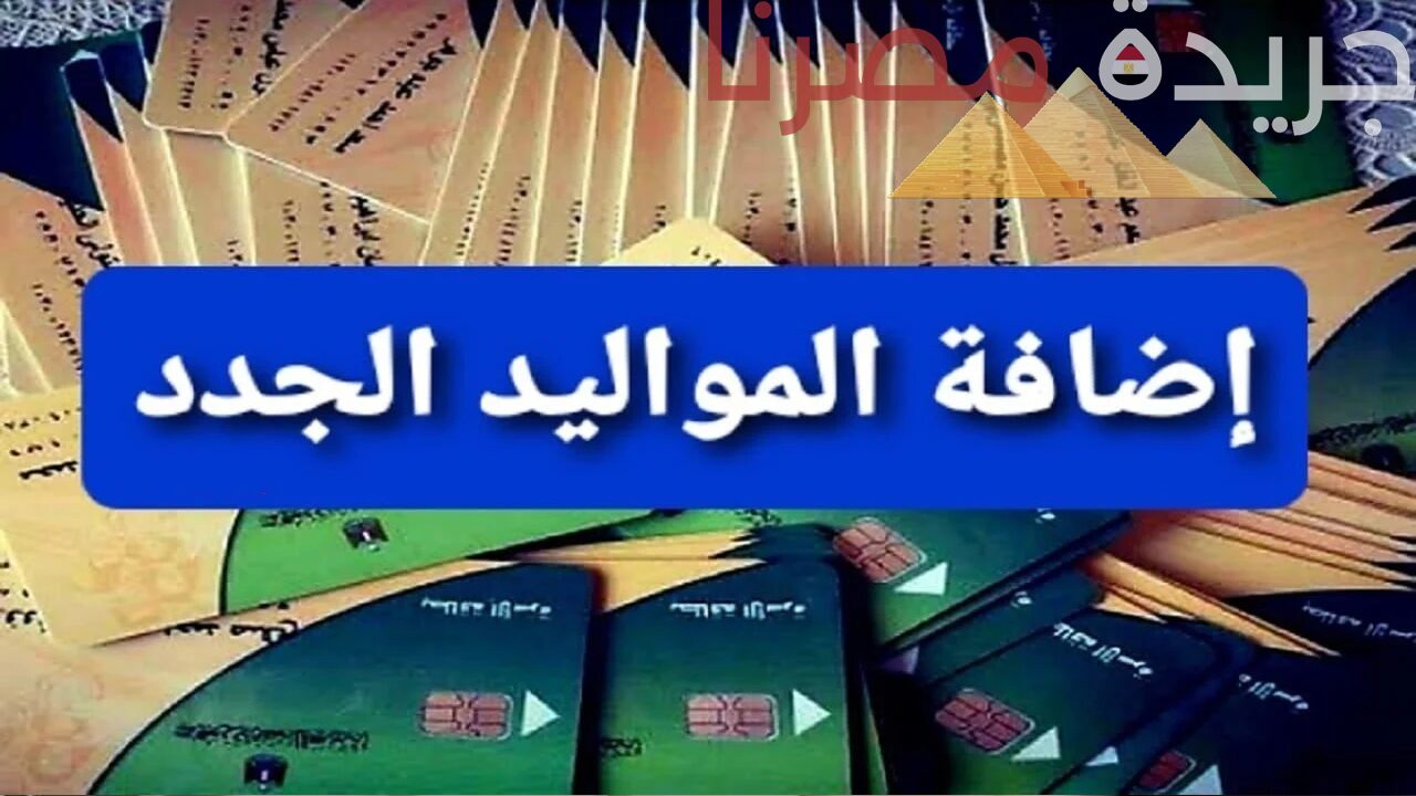 تفاصيل شروط إضافة المواليد على بطاقات التموين لبعض الفئات 