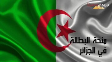 رابط التسجيل في منحة البطالة في الجزائر لعام 2024 والوثائق المطلوبة