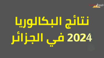 الاستعلام على نتائج البكالوريا الجزائر 2024