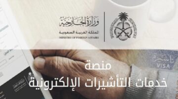 التاشيرات الالكترونية