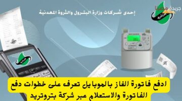 دفع الفاتورة والاستعلام عبر الشركة