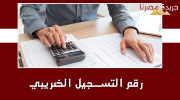 الحصول على رقم تسجيل ضريبي في مصر 2024