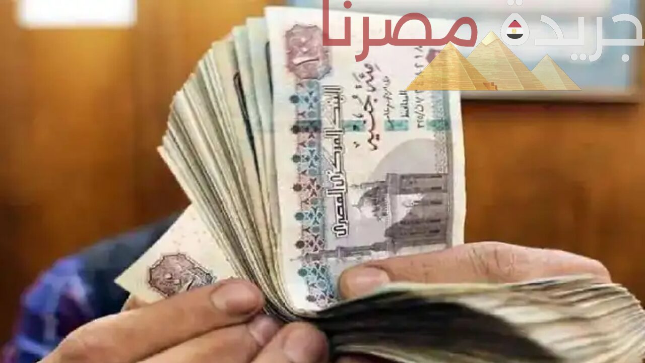 توضيح وزيرة التضامن بشأن موعد تطبيق قانون زيادة المعاشات بنسبة 15% سنويًا