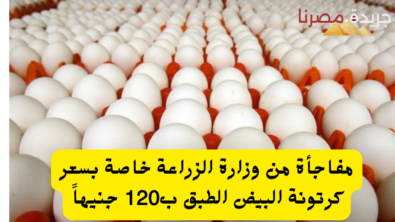 A shock from the Ministry of Agriculture, particularly the value of a carton of eggs at 120 kilos – Misrna Newspaper