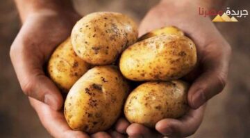 وزير الزراعة يحدد موعد انتهاء أزمة البطاطس