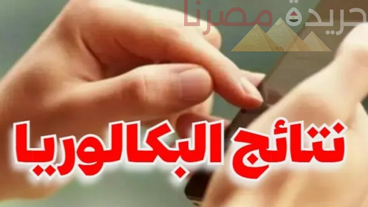 استعلم الآن عن نتائج البكالوريا في الجزائر عبر موقع التربية الوطنية