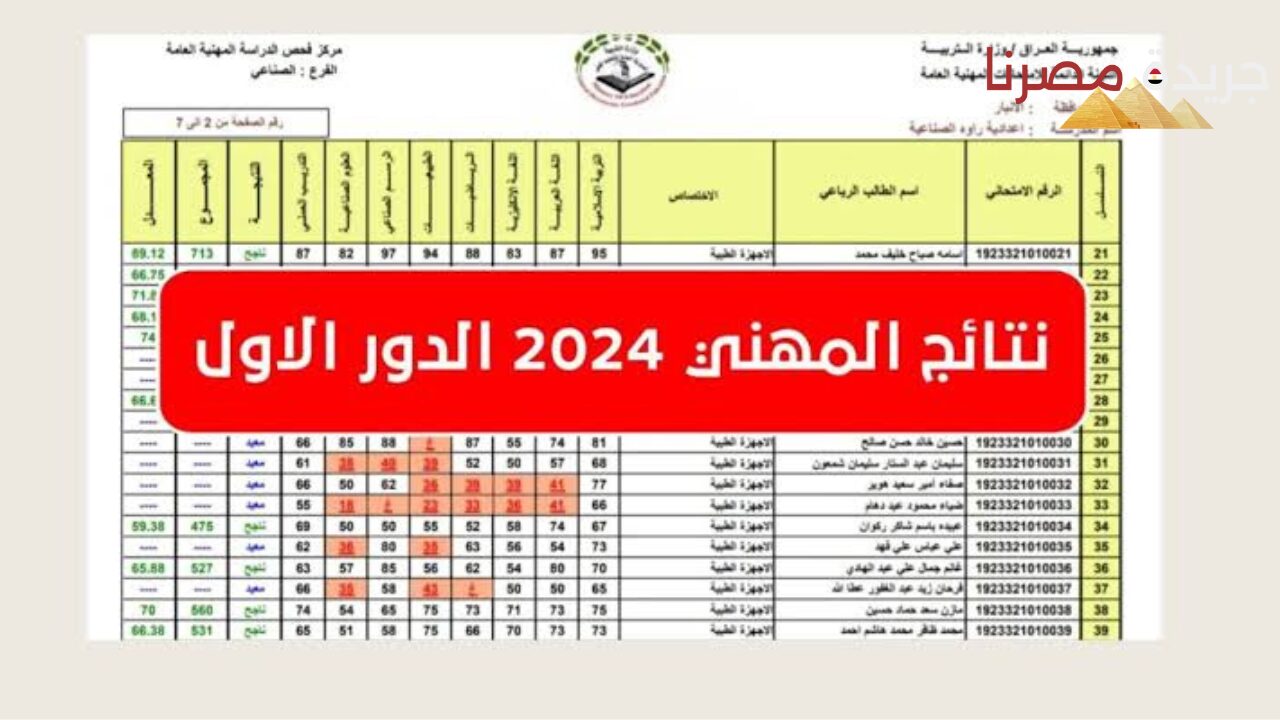 نتائج المهني بجميع فروعه 2024 بالعراق عبر هذا الرابط