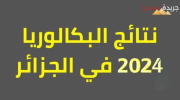 نتيجة البكالوريا من خلال موقع فضاء التلاميذ