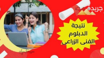 نتيجة الشهادة الاعدادية المنوفية 20240710 153200 ٠٠٠٠ 2