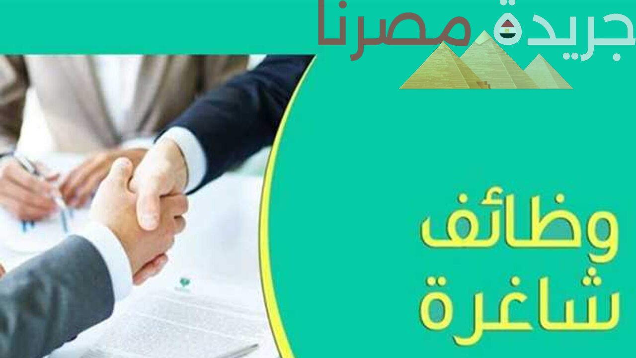 وزير العمل يبدأ في اختبارات للمتقدمين على الوظائف الشاغرة للمصريين في الإمارات