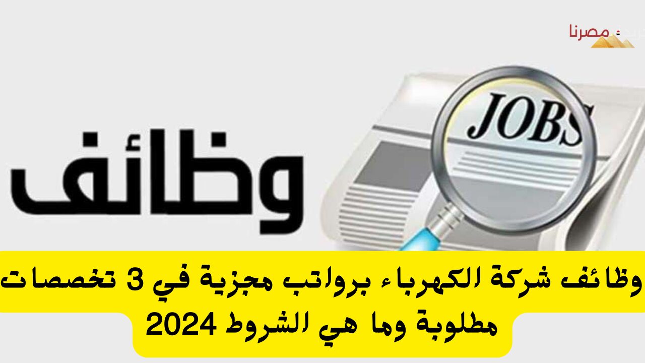 وظائف شركة الكهرباء برواتب مجزية في 3 تخصصات مطلوبة وما هي الشروط 2024