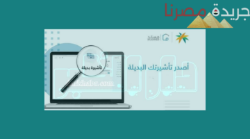 هل تتطلب التأشيرة البديلة رسوم حكومية