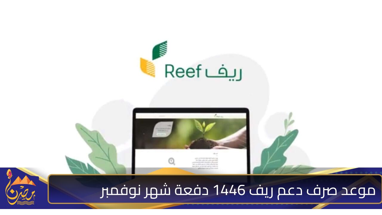 تعرف على .. موعد نزول دعم ريف 1446 دفعة شهر نوفمبر وكيفية الاستعلام عن الدعم