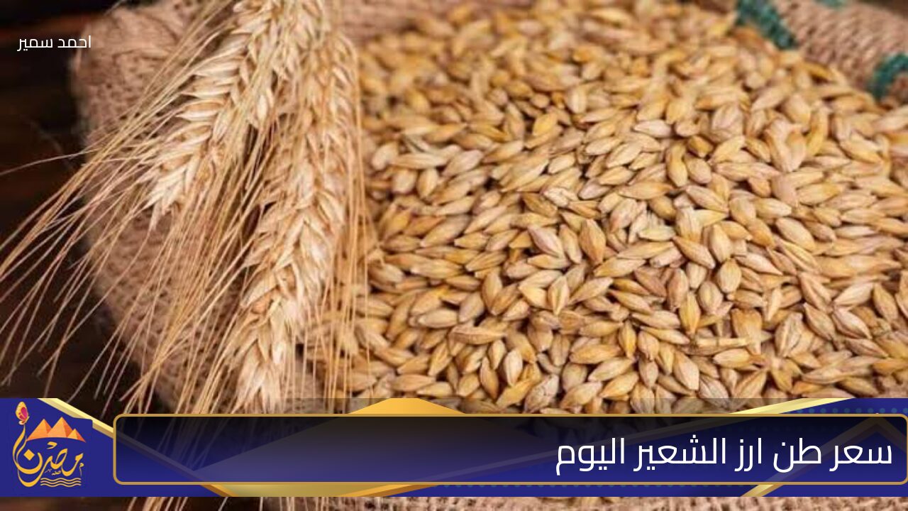 رخص ولا غلي؟!.. سعر طن ارز الشعير اليوم الثلاثاء 29-10-2024 وقائمة بأسعار باقي المعباءات 