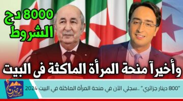 800 دينار جزائري .سجلي الآن في منحة المرأة الماكثة في البيت 2024