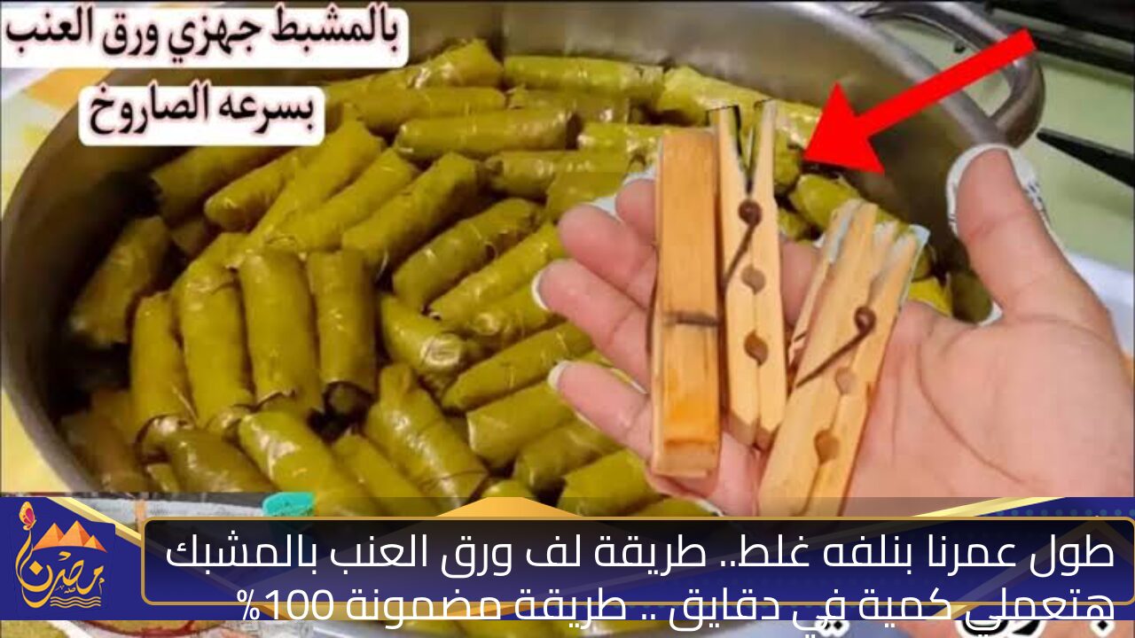 طول عمرنا بنلفه غلط.. طريقة لف ورق العنب بالمشبك هتعملي كمية في دقايق .. طريقة مضمونة 100%