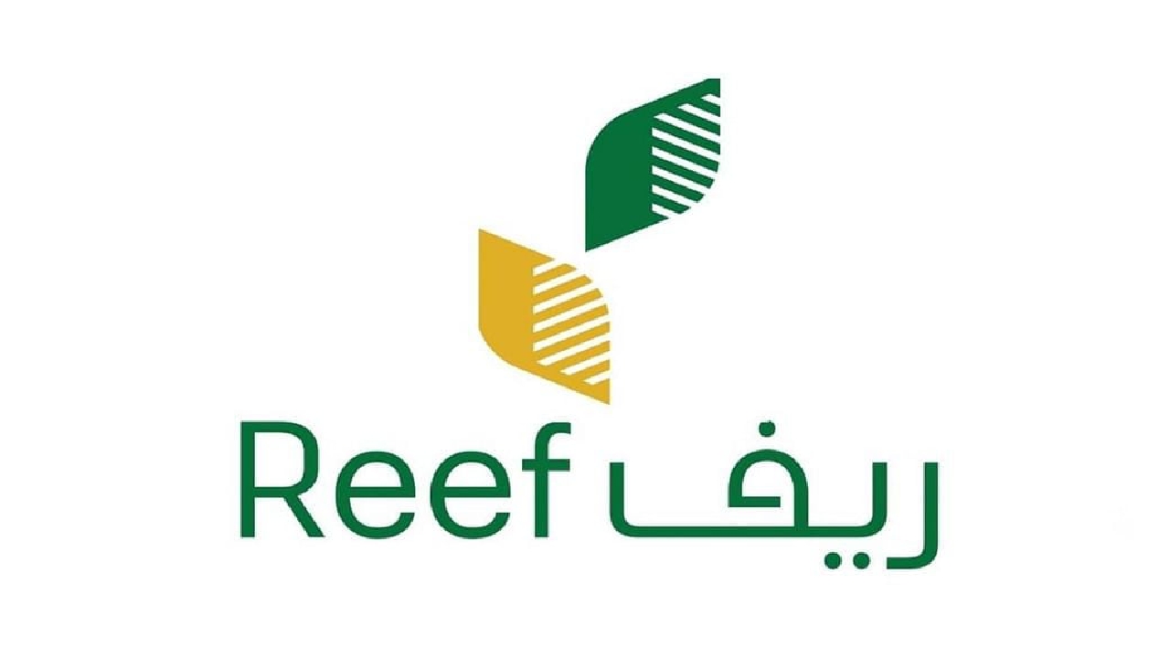 متى تصدر الدفعة؟ موعد نزول دعم ريف 1446 reef.gov.sa وخطوات رسمية للاستعلام