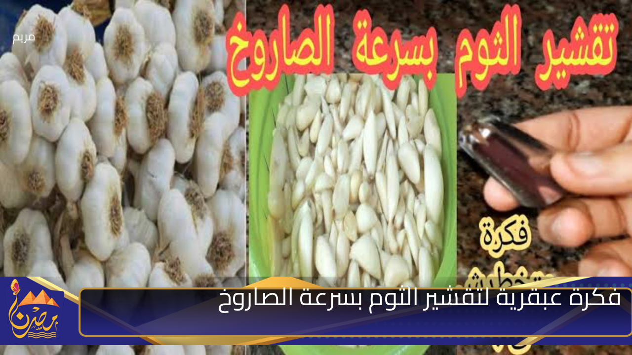 ‎من غير مقشرة ولا تعب”.. فكرة عبقرية لتقشير الثوم بسرعة الصاروخ هتخلصي اكتر من 30 كيلو بدون ملل ولا مجهود نهائيا