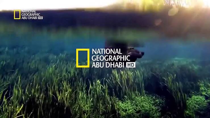 National Geographic.. تردد قناة ناشيونال جيوغرافيك 2024 علي النايل سات || العرب سات بجودة عاليه hd