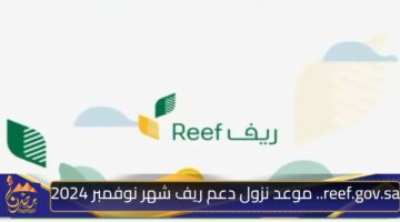 reef.gov .sa . موعد نزول دعم ريف شهر نوفمبر 2024