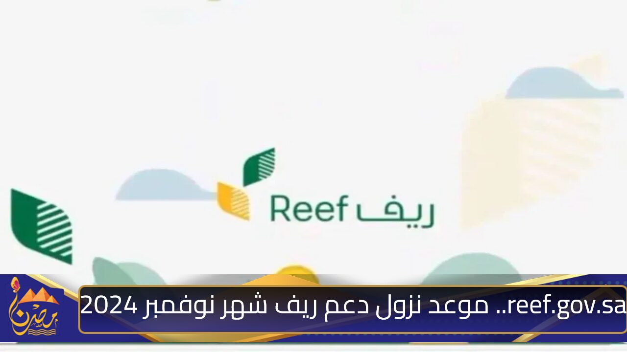 reef.gov.sa.. موعد نزول دعم ريف شهر نوفمبر 2024 في المملكة العربية السعودية وكيفية الاستعلام عن الدعم