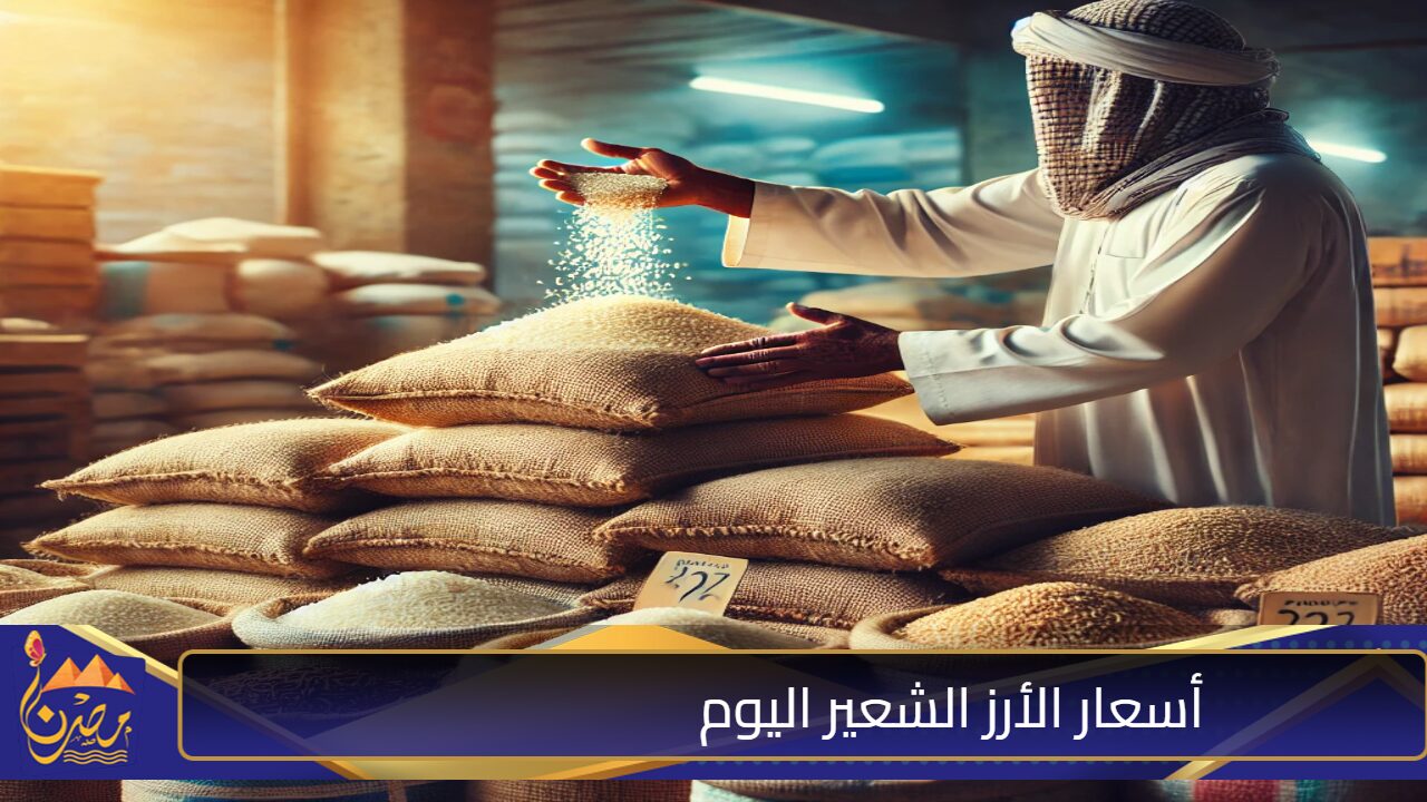 بكام الطن؟.. أسعار الأرز الشعير في مصر اليوم الخميس 24 أكتوبر 2024.. كيلو الأرز يسجل هذا الرقم