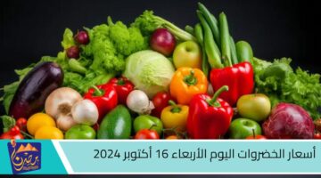 أسعار الخضروات اليوم الأربعاء 16 أكتوبر 2024