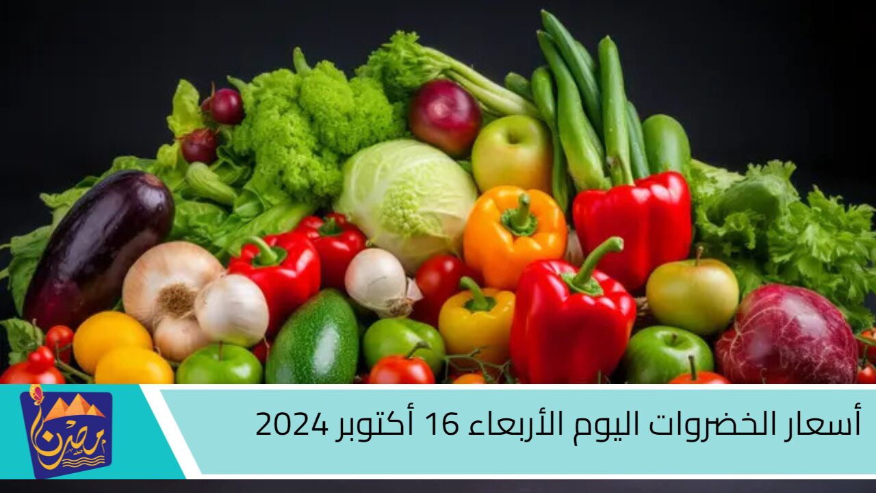 المجنونه بكام النهارده؟.. مفاجأة في سعر الخضار اليوم الأربعاء 16 أكتوبر 2024.. أسعار البطاطس اليوم