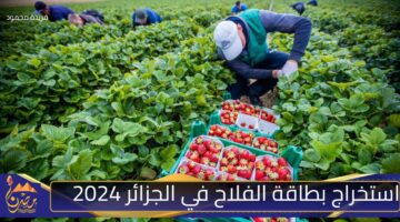 استخراج بطاقة الفلاح في الجزائر 2024.jpg