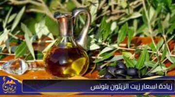 اسعار زيت الزيتون بتونس