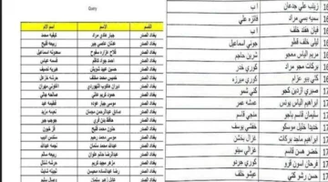 اسماء المشمولين بالرعاية الاجتماعية الوجبة الأخيرة 2024