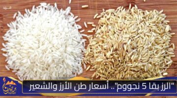 الرز بقا 5 نجووم . أسعار طن الأرز والشعير