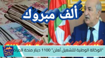 الوكالة الوطنية للتشغيل تُعلن 1100 دينار منحة المرأة الماكثة في البيت بالجزائر رابط التسجيل المباشر