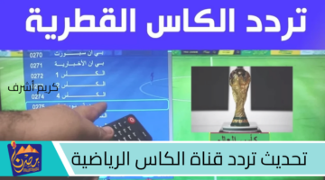 تحديث تردد قناة الكاس الرياضية.jpg